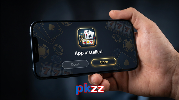 Payment and PKR controls in Pkzz